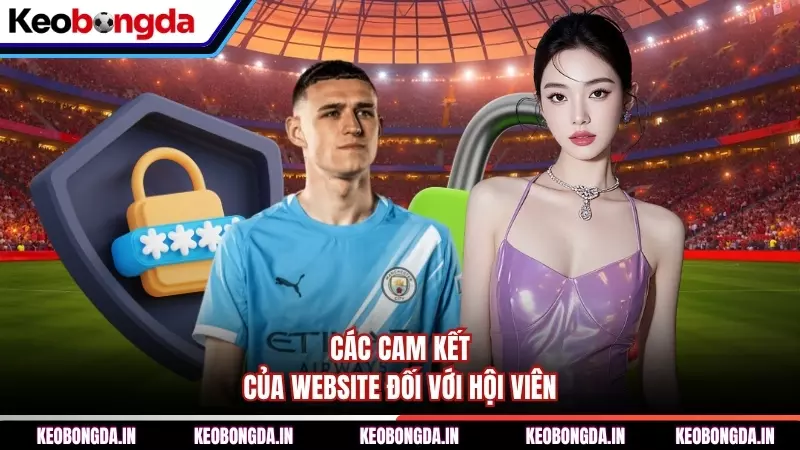Các cam kết của website đối với hội viên