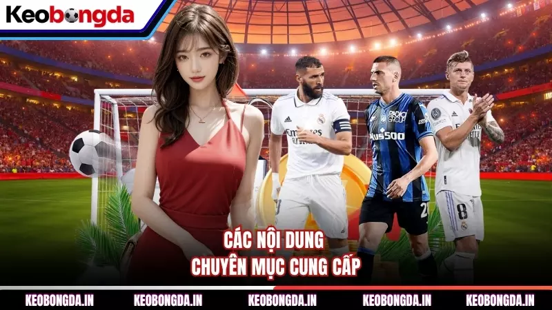 Các nội dung chuyên mục cung cấp