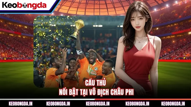 Cầu thủ nổi bật tại vô địch châu Phi
