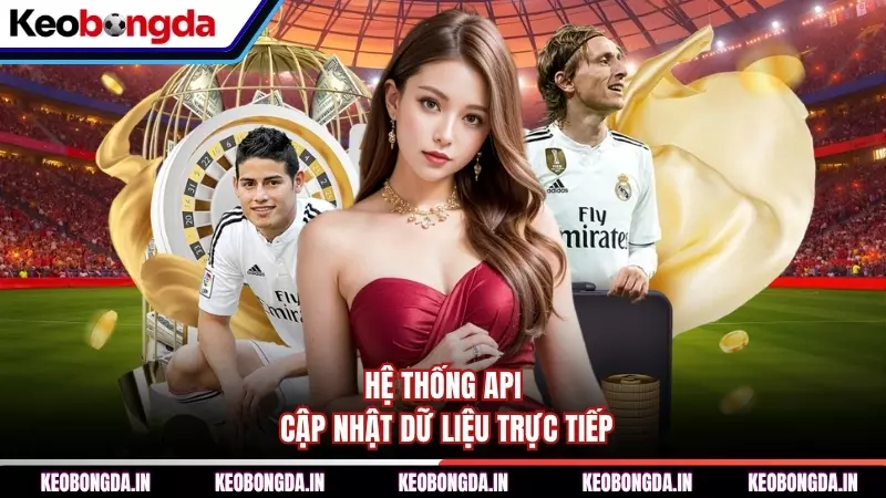Hệ thống API cập nhật dữ liệu trực tiếp
