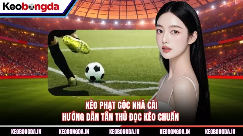 Kèo Phạt Góc Nhà Cái - Hướng Dẫn Tân Thủ Đọc Kèo Chuẩn