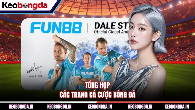 Tổng hợp các trang cá cược bóng đá
