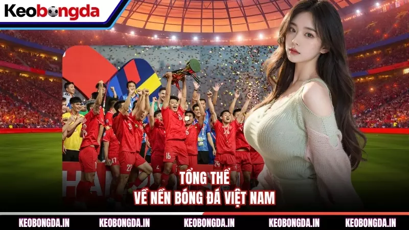 Tổng thể về nền bóng đá Việt Nam