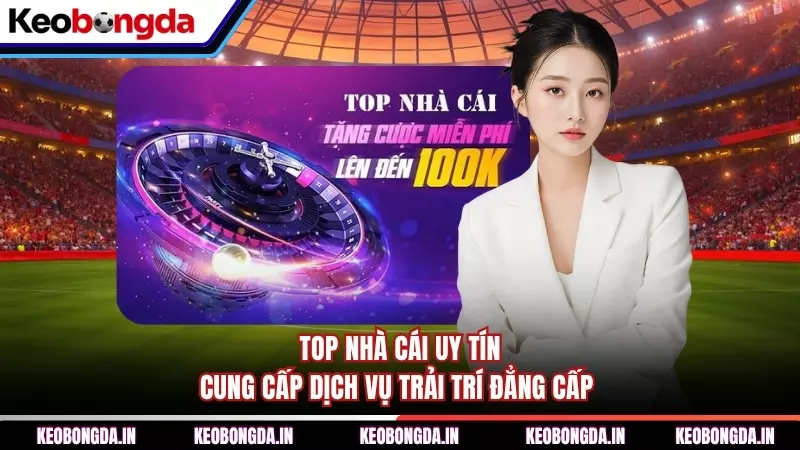 Top Nhà Cái Uy Tín Cung Cấp Dịch Vụ Trải Trí Đẳng Cấp