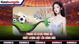 Trang Cá Cược Bóng Đá - Chất Lượng Đặt Lên Hàng Đầu