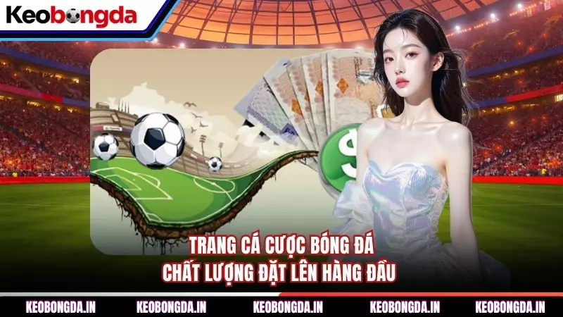 Trang Cá Cược Bóng Đá - Chất Lượng Đặt Lên Hàng Đầu