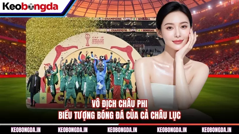 Vô Địch Châu Phi - Biểu Tượng Bóng Đá Củ...