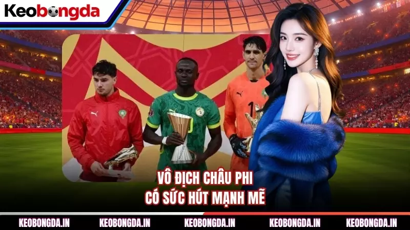 Vô địch châu Phi có sức hút mạnh mẽ