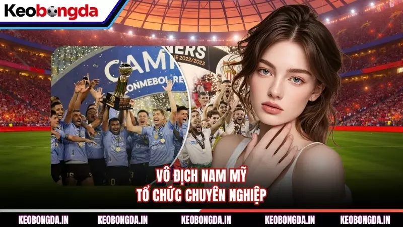 Vô địch Nam Mỹ tổ chức chuyên nghiệp