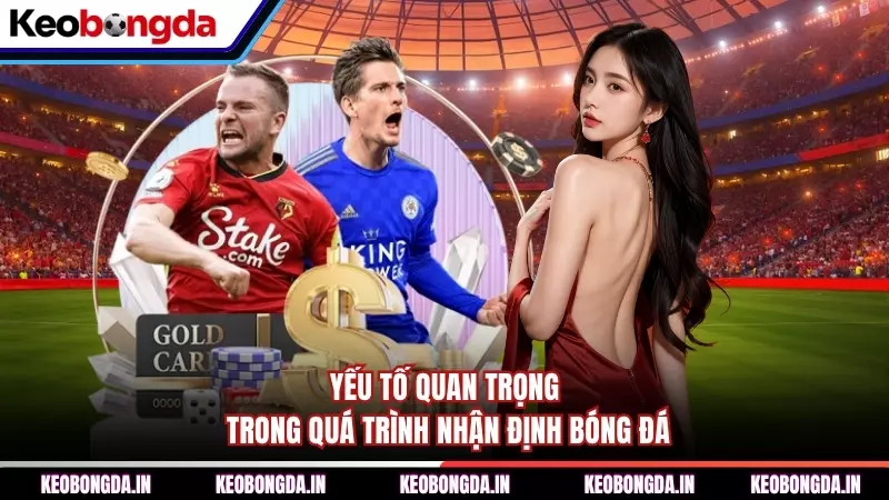 Yếu tố quan trọng trong quá trình nhận định bóng đá